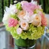 Pink and white roses arranged in a glass vase with green hydrangeas