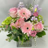 Soft pink roses, delicate gerbera daisies, lavender blooms, and fresh green hydrangea