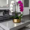 Potted orchid arrangement with white and magenta blooms in a gold bowl
