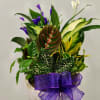 Potted tropical plant arrangement with purple flowers and a purple ribbon