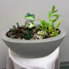 Succulent arrangement in a gray bowl planter with a small frog figurine