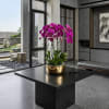 Potted arrangement of purple orchids in a gold container on a black table