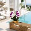 Potted orchids in white and purple on a wooden bench beside a pool