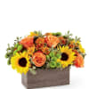 Bright, bold and overwhelmingly beautiful, what's not to love about this charming