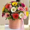 Celebrate life&rsquo;s bright milestones with our Graduation Gerbera Box! This joyful arrangement