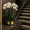White orchids in a gold planter beside a staircase