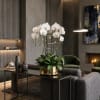 White orchids arranged in a gold pot on a glass table in a modern living room.
