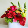 Compact arrangement of red roses and anthuriums with mixed bright blooms in a white round container