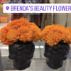 Marigold flowers in a black ceramic vase  .