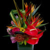 Tropical Blaze Bouquet 