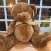 Brown teddy bear with a ribbon sitting on a wooden surface