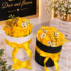 Yellow rose arrangements in round gift boxes with ribbon and butterfly toppers