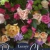 A lush cascade of mixed roses, ruffled carnations, and cheerful high end