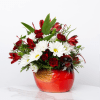 Looking to spread winter joy or a peaceful reminder? Our Holiday Collection's