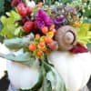 Dried flowers arranged in a creative display on top of a pumpkin.