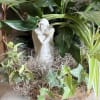 A serene potted plant arrangement centered on glossy green foliage and soft