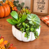 Succulent arrangement in a white pumpkin-shaped planter