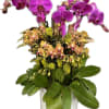 Purple and orange orchids arranged in a white pot