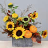 Autumn arrangement of yellow sunflowers and small orange pumpkins in a gray rectangular vase