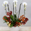 Tall white orchid planter with autumn leaves and small decorative gourds in a white pot