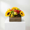 Sunflower and red flower arrangement in a wooden box