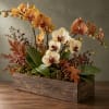Orchid arrangement in a rustic wooden planter with autumn leaves and berries