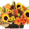 Welcome Autumn with this charming combination of sunflowers, roses, and carnations!