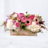 Playful, bright, and full of charm, Bubblegum features a cheerful mix of