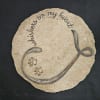 Round textured plaque with the words "whispers on my heart" and paw prints