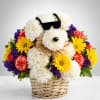 Bring smiles with Cool Pup an adorable handcrafted floral puppy made from