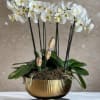 White orchids arranged in a gold pedestal bowl with moss