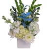 White floral arrangement in a square vase with blue accent leaves