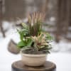 Potted mixed foliage arrangement in a cream basket-style planter