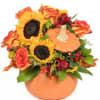 This Charming little Pumpkin is over flowering with Autumn colors and style.
