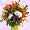 Mixed bouquet of daisies, carnations, and purple blooms in a lime green vase