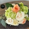 Peach and white roses with green hydrangeas in a compact bouquet