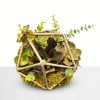 A miniature ecosystem of wonder captured in stone and silver. The Garden