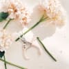 White hydrangea blooms with pruning shears on a light background