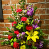 This arrangement is created by using our finest bright and colorful flowers.