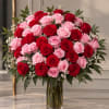 Bouquet of red and pink roses in a clear glass vase