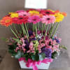 Brighten someone's day with our Radiant Gerbera Garden, a luxury floral arrangement