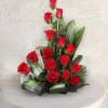 Red roses arranged in a low display with broad green leaves