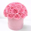 Pink roses arranged in a round pink box