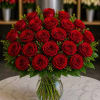 A timeless luxury arrangement featuring velvety deep red roses accented with lush