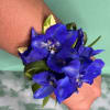 Blue flower wrist corsage with ribbon on a wrist