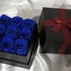 A bold and refined expression of elegance.

Our Royal Blue Luxury Square features
