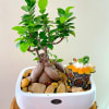 Potted bonsai-style plant with thick trunk and green leaves in a white dish with stones and a tiny house figurine.