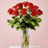 A dense, rounded bouquet of long-stemmed red roses that reads as pure