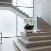 White orchid arrangement in a low white bowl on a staircase landing