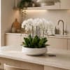 White orchid arrangement in a low white bowl on a kitchen island